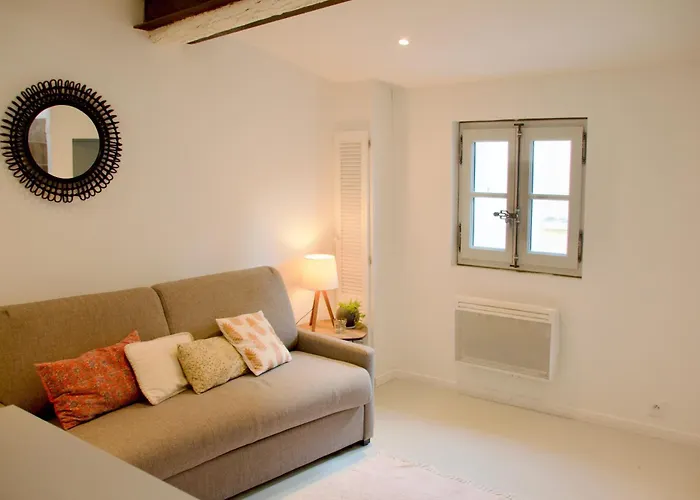 Joli Studio Avec Terrasse-Jardin Sur Les Toits, Coeur Historique