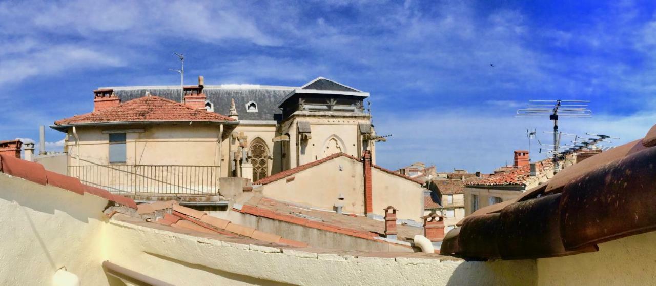 Joli Avec Terrasse-jardin Sur Les Toits, Coeur Historique Apartment *