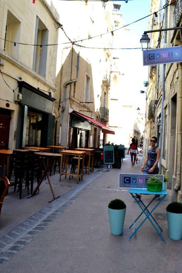 Joli Avec Terrasse-jardin Sur Les Toits, Coeur Historique Montpellier